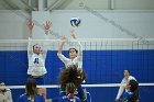 VB vs Salve  Wheaton Women’s Volleyball vs Salve Regina University. : volleyball